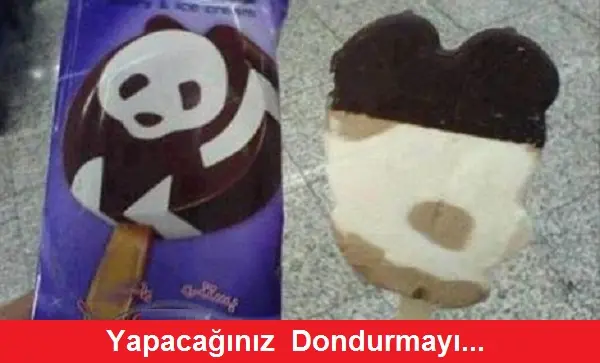 yapacaginiz dondurmayi