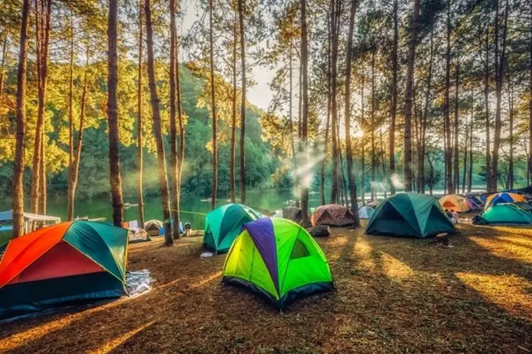 Kamp alanları