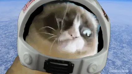 astronot-kedi