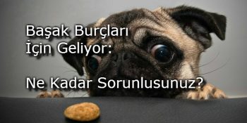 Başak Burçları İçin Geliyor: Ne Kadar Sorunlusunuz? [Test]