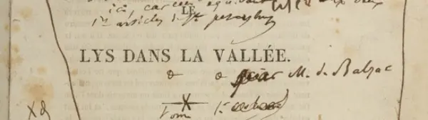 lys dans la vallee