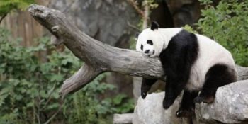 Bunalımdaki İnsan Davranış Bilimini Özetleyen 9 Madde