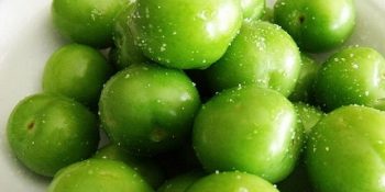 Baharın Geldiğini Anlamamıza Işık Tutan 14 Cıvıl Cıvıl Durum