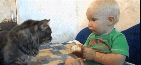cute-baby-sharing-food-cat