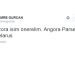 Melih Gökçek’in Dinozoruna Ankara’nın Bağlarından Alternatif 16 İsim Önerisi