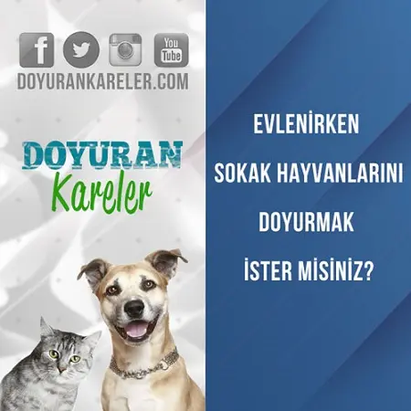 doyuran-kareler-ins