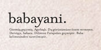 Günlük Hayatımızda Muhtemelen Hiç Kullanmadığımız 24 Güzel Türkçe Kelime