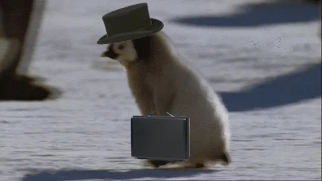 gec-kalan-penguen