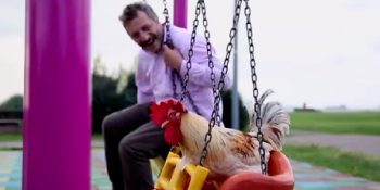 11 Fotoğrafla Dünyanın En Şanslı Horozu Behlül’ün İmrendiren Hikayesi