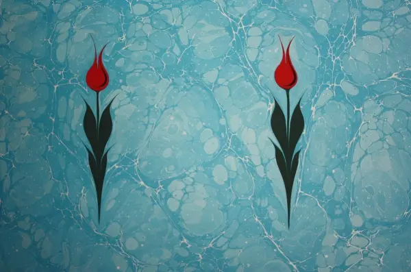 lale ebru sanati
