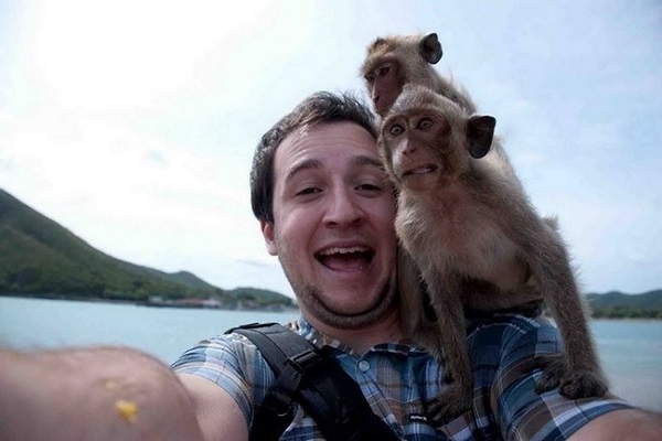 maymun selfie