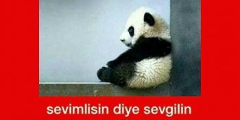 Yalnızlığın Aslında Güzel Bir Yaşam Tarzı Olduğunu Anlatan 11 Gerçek