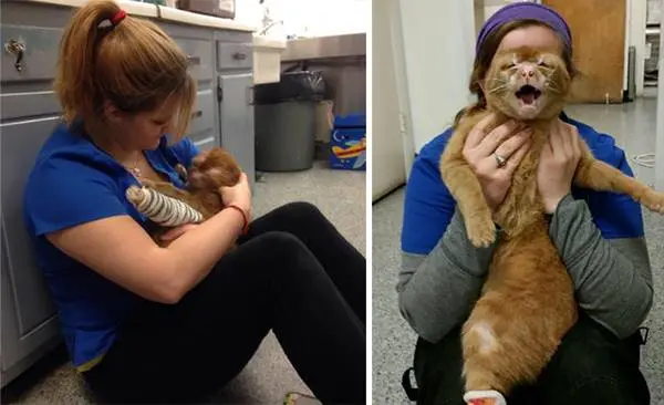 2hemsirecat-housefire-survivor-comforts-animals-russel-3