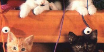 Kuyrukları Diken Diken Eden 9 Nostaljik Anıyla 90’larda Kedi Olmak