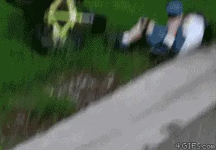 Diz