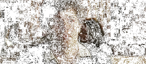 adam-brody-aglama
