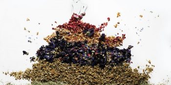 “Kadınlar Ne Bacıdır Ne Çiçek” Dedirten 20 Perihan Mağden Dizesi