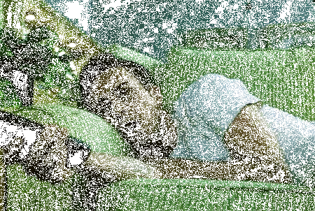 edward-norton-duz
