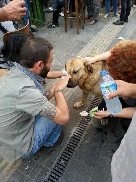 garip-gezi