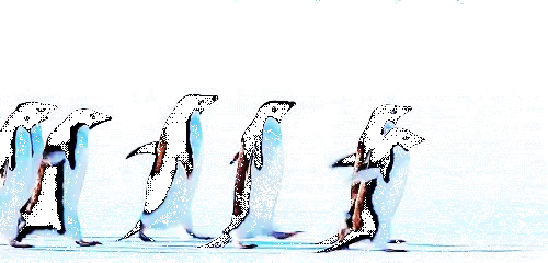 giphy