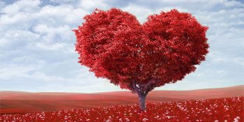 İlişkiler Hakkında Sorularınızı Sorun, Gönül Çeşmesi Cevaplasın: 11 Maddede Gönül Çeşmesi