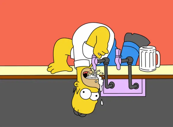 homer simpson bira