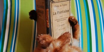 Gerçekleştirdiğinizde Sizi Mutlu Edecek 15 Hedef