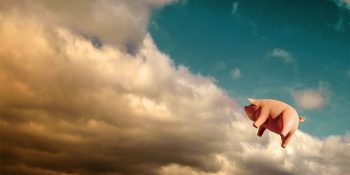 Esinini Edebiyattan Alan 11 Konsept Şarkı