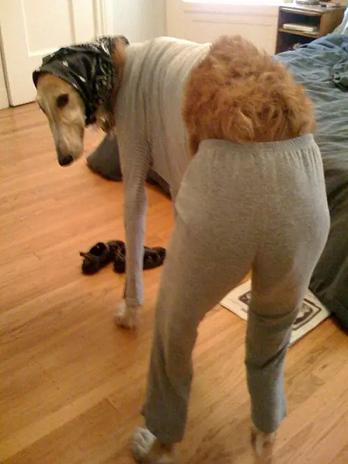 pijama4