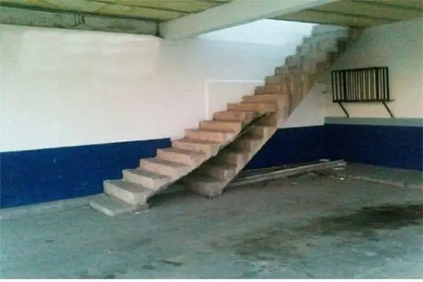 proje