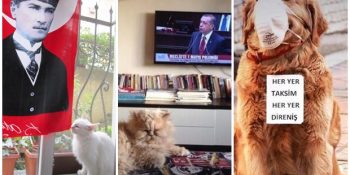 Bu Seçimlerde de Kime Oy Vereceği Belli Olan 25 Sevimli Hayvan