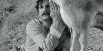 Susuz Yaz Filmine Göre Hasretle Baş Etmek İçin Sarılmanız Gereken 9 Şey