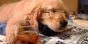 Yorgun Geçen Günün Sonunda Uyumak İçin 10 IQ Düşürme Yöntemi