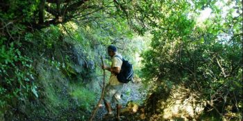 Sakin Bir Şehre Yerleşenlerin İlk Aylarında Yaşadığı 36 Şaşkınlık