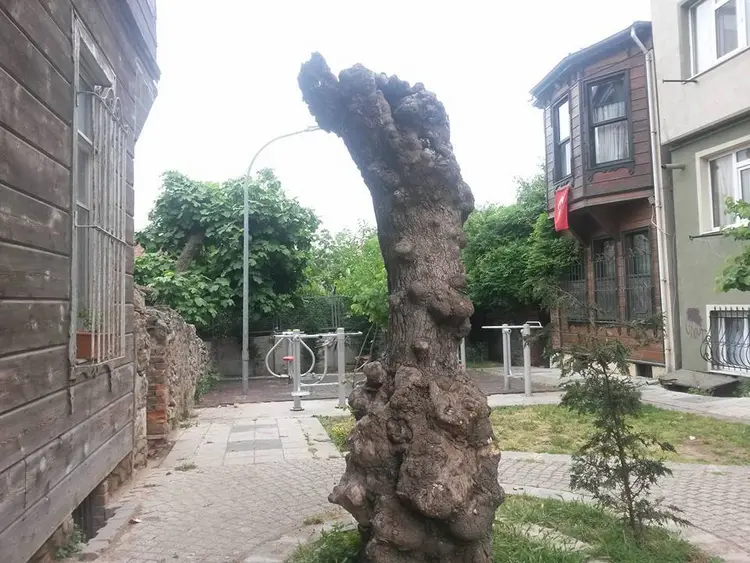 4) İLK POSTANENİN AÇILDIĞI SEMT