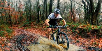 Ormanlardan Şelalelere 14 Rüya Gibi Rotayla Bisikletle Keşif Rehberi