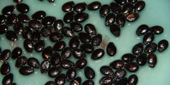 Hayattan Soğutan Yaza Özgü 11 Mutsuzluk Tipi