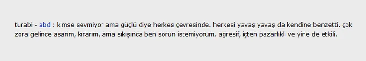 Survivor_Turabi_Abd