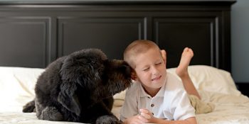 Yaşanmış Olaylarla Sahiplerini Hayata Bağlayan 9 Mucize Köpek