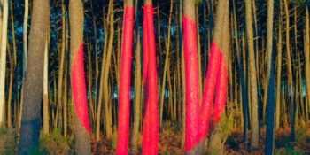 Yaz Tatili ile Rehavete Kapılan Şehrin Yakasını Bırakmayan 11 Seçenek: İstanbul Etkinlik Rehberi