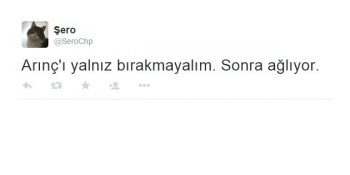 CHP Genel Başkanlığına Aday Olabilecek Kedi Şero’dan 28 Sosyal Demokrat Tweet