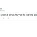 CHP Genel Başkanlığına Aday Olabilecek Kedi Şero’dan 28 Sosyal Demokrat Tweet