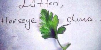 Erdoğan’a #SeniMaydanozYaptırmayacağız Diyen Bol Yeşillikli 14 Tweet