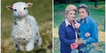 Seçimin Ardından Huzurla Uyurken Rüyanızda Görebileceğiniz 11 Tatlış Şey