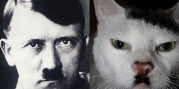 Vine’ın Yıldızı Tayfun Yılmaz’dan Her Daim Güldüren 16 Seslendirme