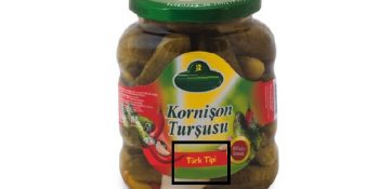 Çakma Türk Tipi Başkanlığa Alternatif 6 Gerçek Türk Tipi Şey