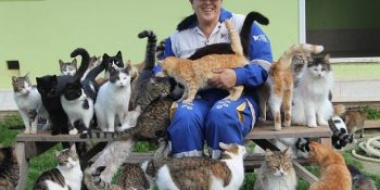 Sokağa Terk Edilen Hayvanları Hayata Döndüren Dünya Güzeli Bir Girişim:  HAYDOS