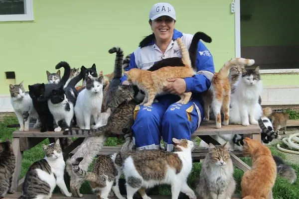 turkan-dagdelen-kedi