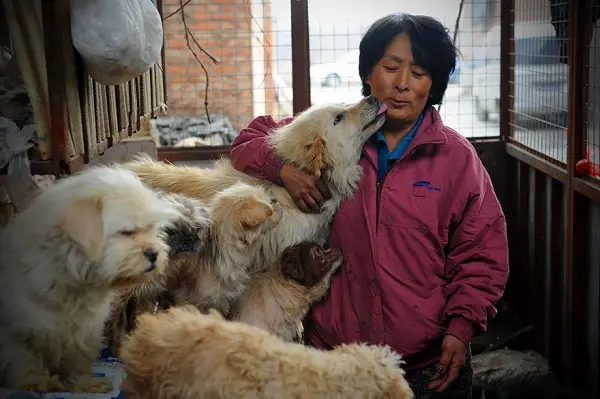 yulin1