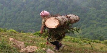 Deli Dolu 13 Özelliği İle Tuttuğunu Koparan Karadeniz Kadını